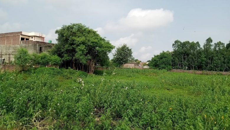नगरपिता फुल्टेक्रा तालको संरक्षण गर्नु हुन्छ कि ?