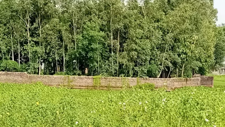 फुल्टेक्रा मा.वि. विद्यालय व्यवस्थापन समिति अध्यक्ष बर्माद्वारा तालको जग्गा कब्जा