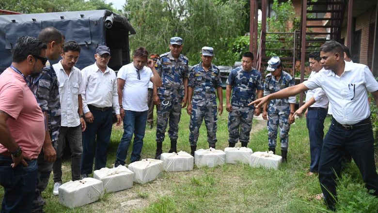 चिनियाँ व्यापारीको धन्दा: हङकङबाट सुन तस्करी, काठमाडौंबाट यार्सागुम्बा
