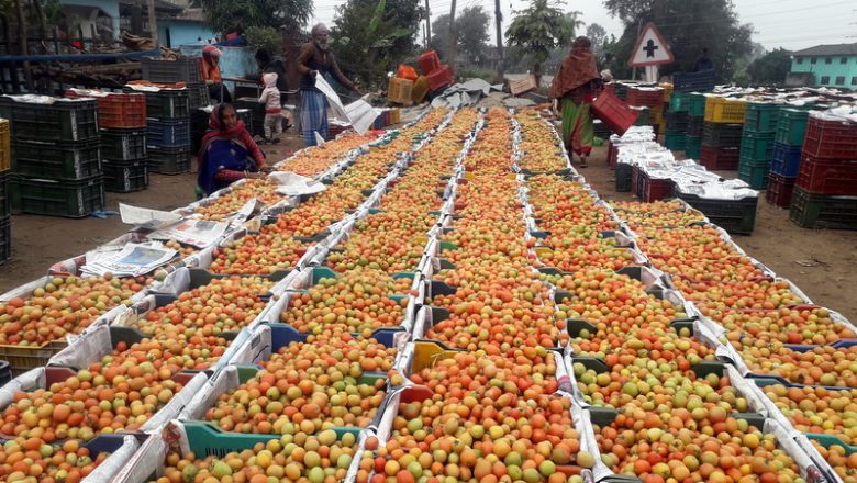 नेपालले ३० टन गोलभेडा भारत निर्यात गर्याे