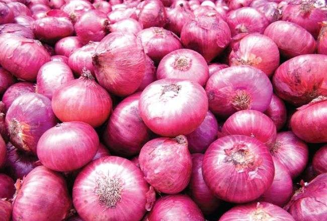 भारतले प्याजमा कर लगाउँदा नेपालमा कालोबजारी : खुद्रा भाउ किलोकै एकसय रुपैयाँ
