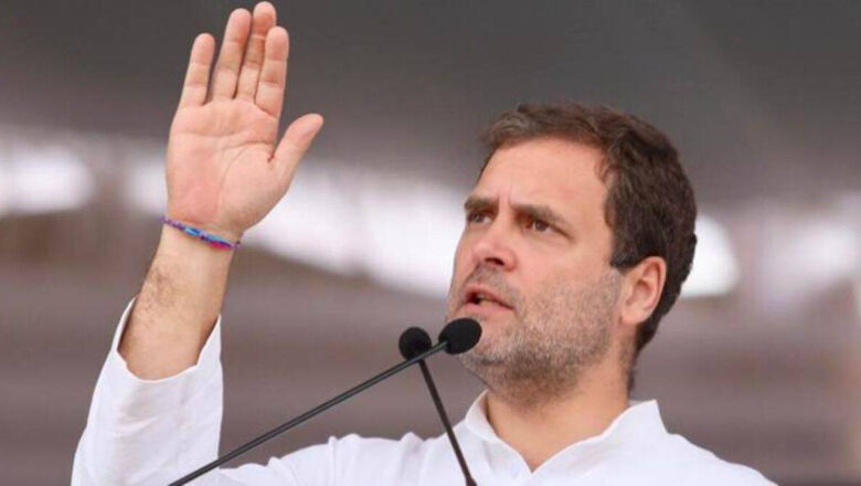 राहुल गान्धी सेयरबाट कमाउँछन मासिक १४ लाख भन्दा बढी