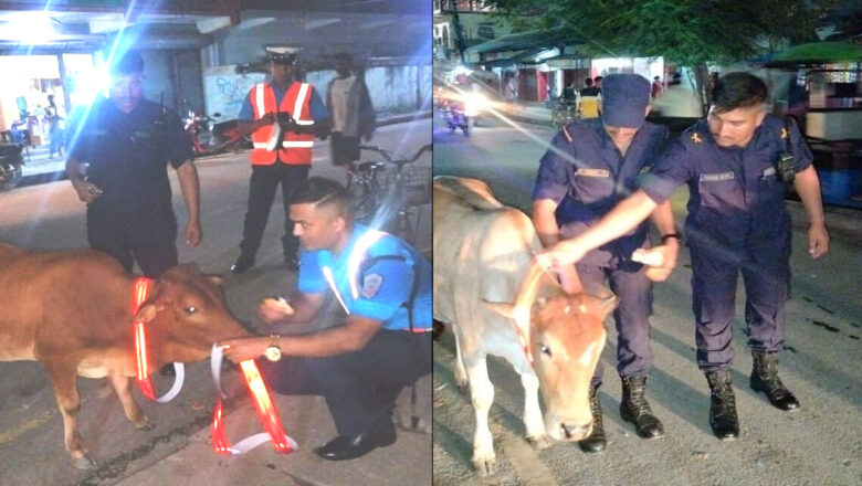 दुर्घट्ना रोक्न रिफ्लेक्टर स्टिकर लगाउने अभियानमा वडा प्रहरी र ट्राफिक प्रहरी