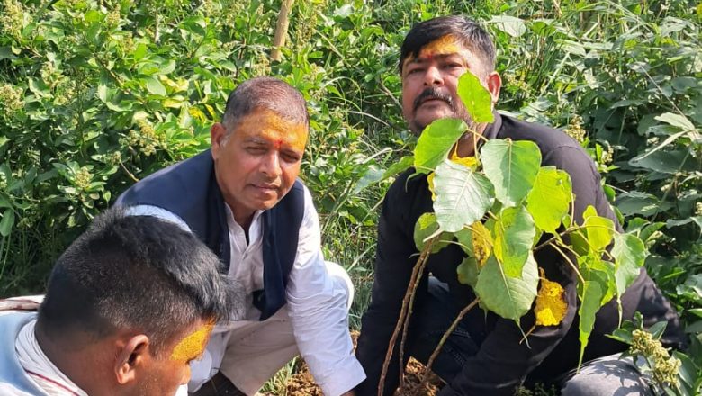 बृन्दावन धाममा १०८ पीपलसहित २५० थान बोट लगाईयाे (फाेटाेफिचर सहित)