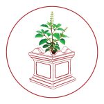 राष्ट्रिय एकता दलको औपचारिक घोषणा सभा पुस २५ गते काठमाडौँमा