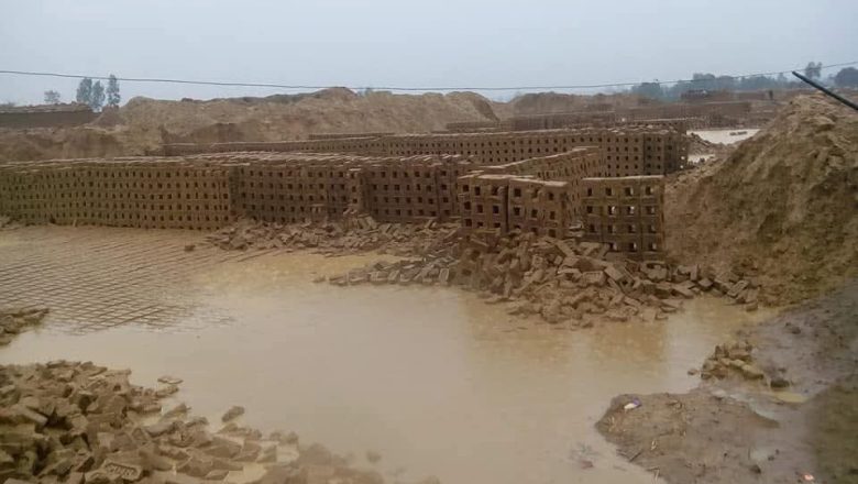 बेमौसमी वर्षाले ९ करोड बढी काँचो ईटामा क्षति